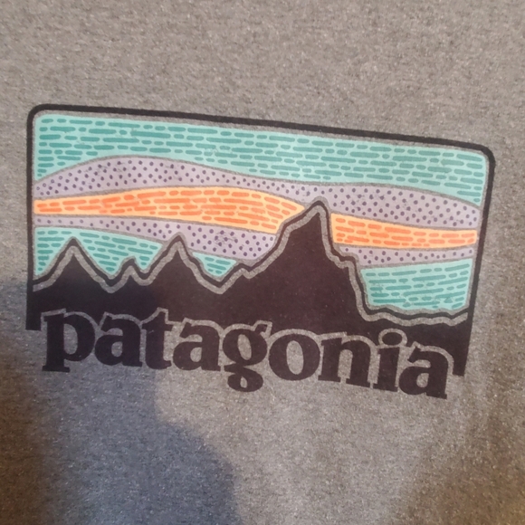 Patagonia Heather Gray Long Sleeve with Mountain Graphic. Sz Small. Regular Fit - Picture 4 of 8